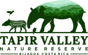 Tapir Valley Nature Reserve